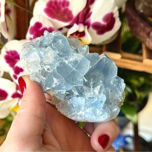 💙Raw Druzy Celestite Divine Energy Crystal Cluster💙